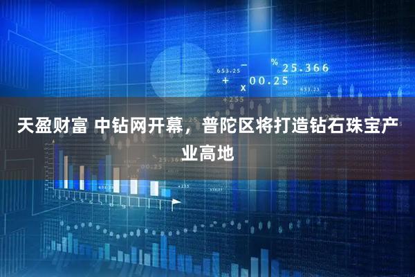 天盈财富 中钻网开幕，普陀区将打造钻石珠宝产业高地