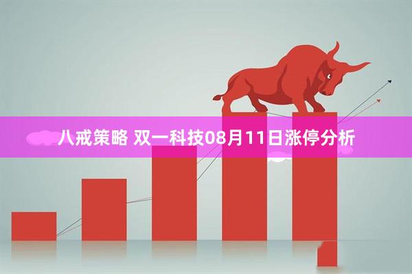 八戒策略 双一科技08月11日涨停分析